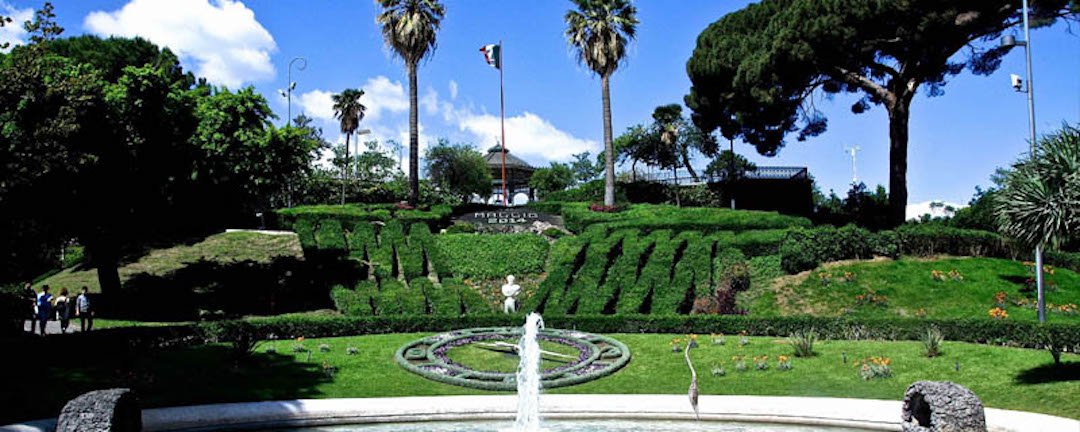 Il giardino Bellini, un giardino ricco di sentieri, piante e tanta natura.