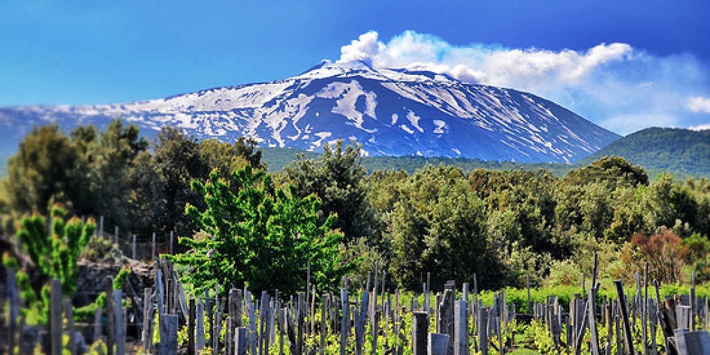 La natura autoctona etna