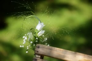 fiori e musica matrimonio