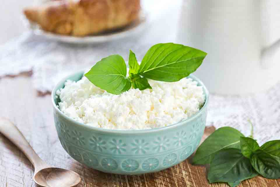 ricotta