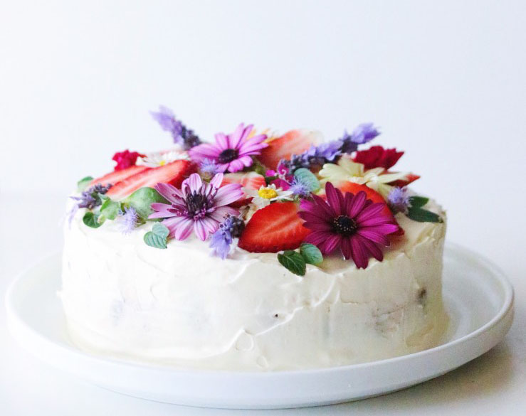 Immagini torte di compleanno