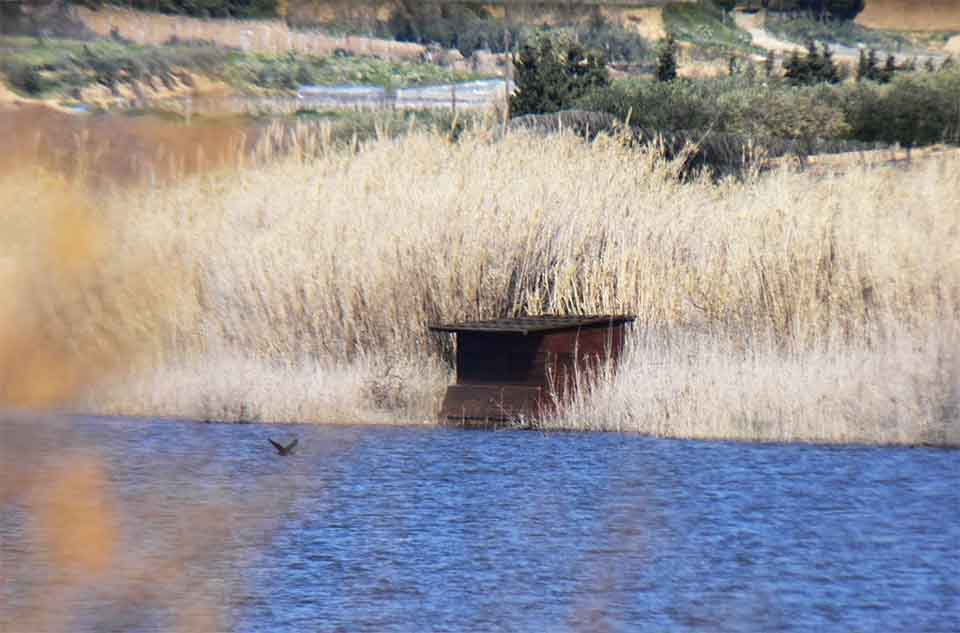 Gela Riserva naturale orientata Biviere