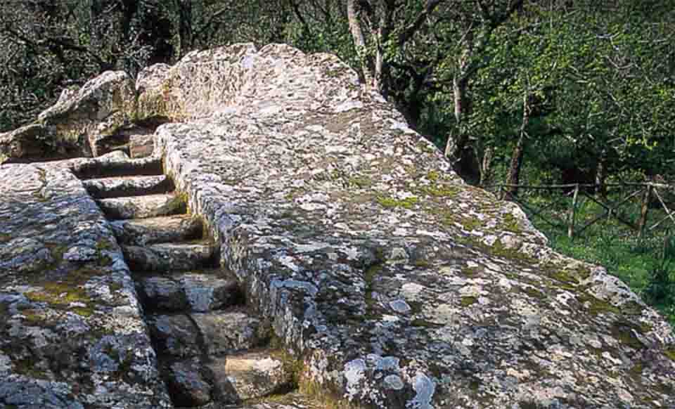 Riserva naturale orientata Bosco della Ficuzza