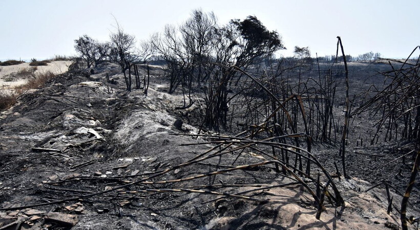 Incendi Catania: il rischio rimane alto, è allerta