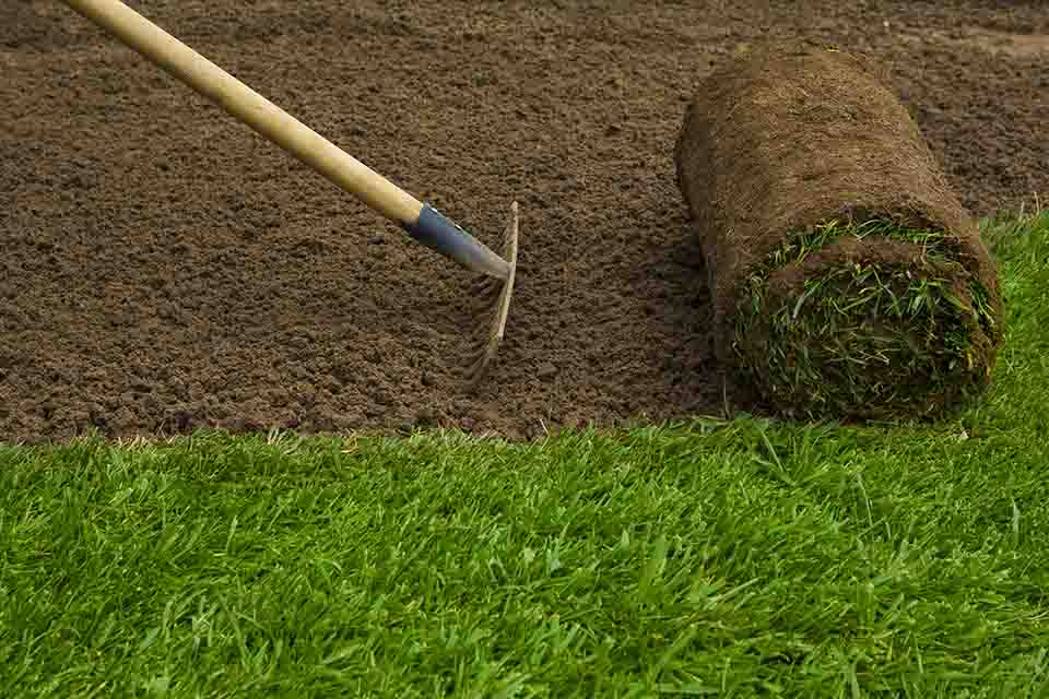 Le 5 migliori aziende di Giardinaggio a Catania